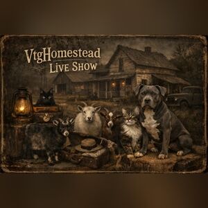 LIKE THIS POST TO BE NOTIFED WHEN I GO LIVE!